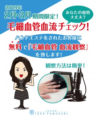 西垣さんへ_毛細血管_ホームページ用